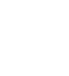 FDV logo