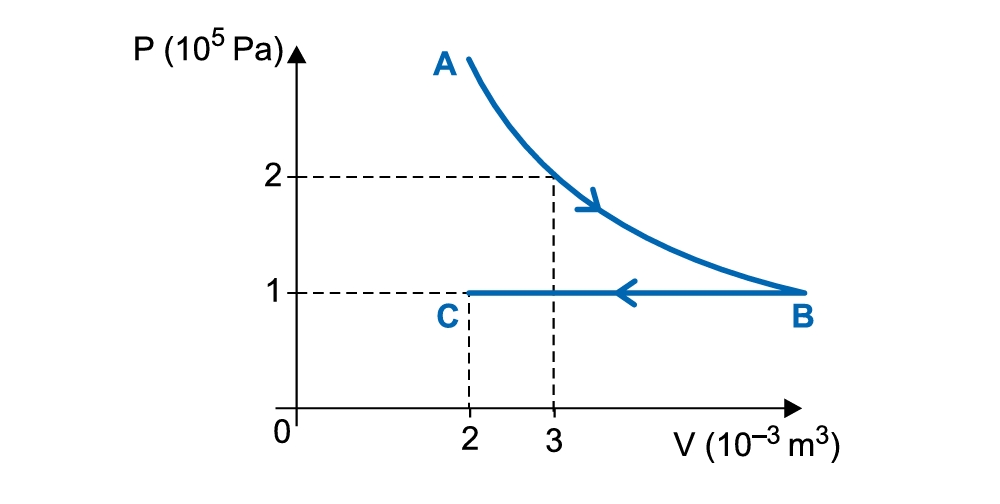 8373eae7-6e13-4202-82f4-5c6a661c34b8.png