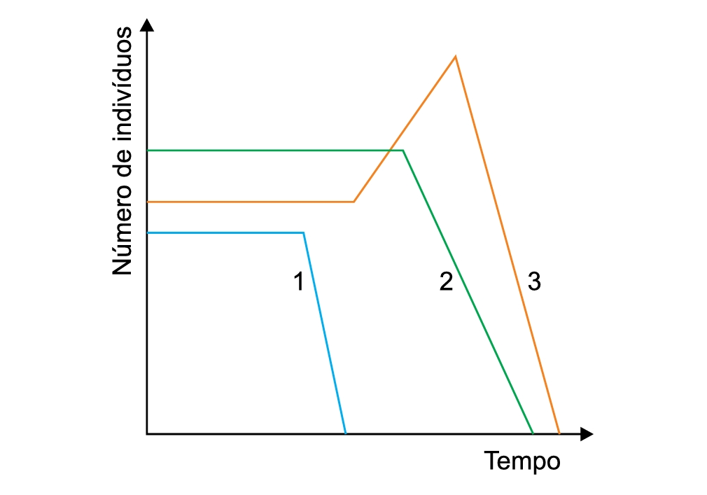 20c2684e-6248-4d1f-92a6-dfaf0bd47ee1.png