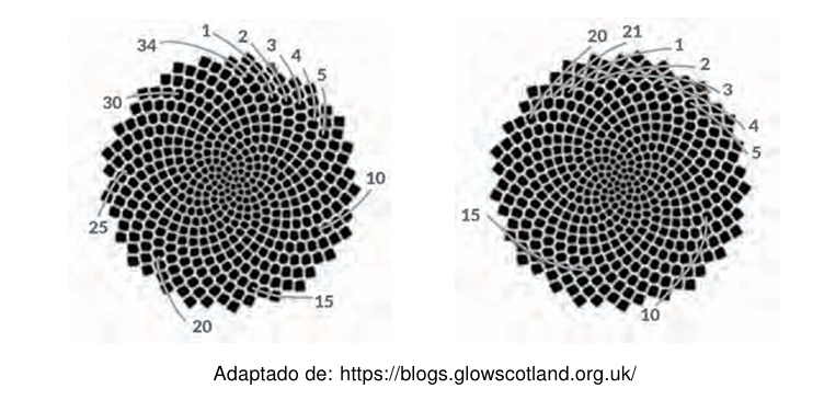 eb593293-24d2-4a4b-ba1b-24f314ec0729.png