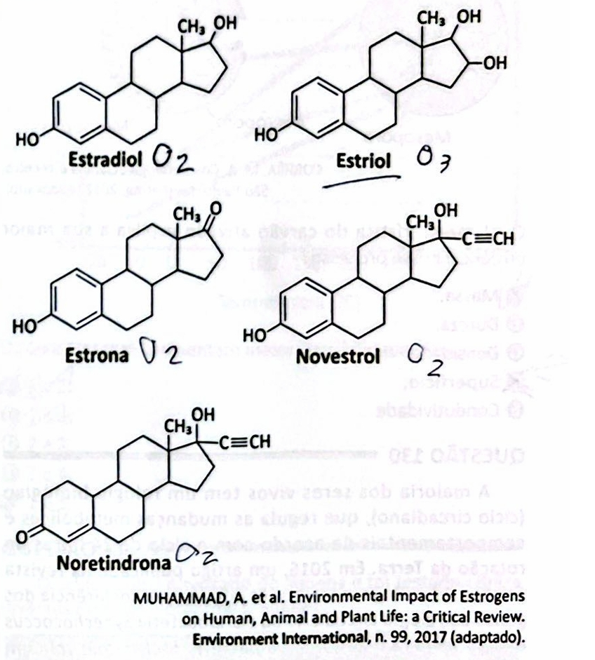b354aff6-95a3-4381-9da9-61f2c972f5c4.png