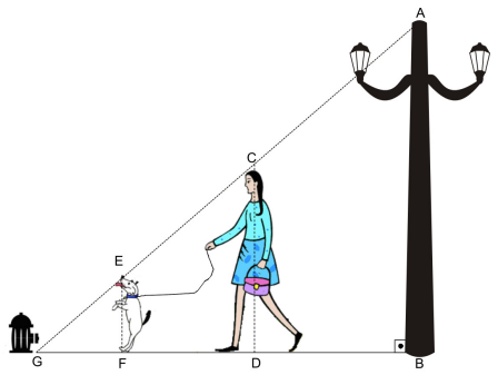 59e54948-2e47-4754-849e-05c2221d35ac.png