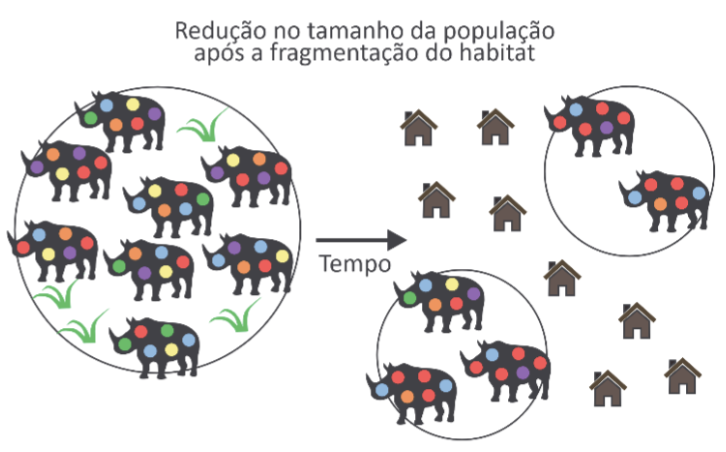 f72dd404-c549-4b49-84f4-eee08c74ce87.png