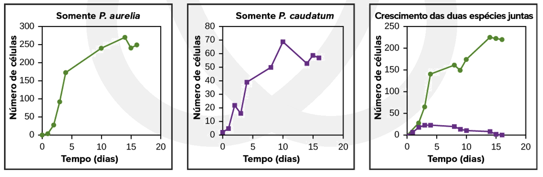 f419c0d7-3cdd-4f71-b65e-60c5a57558a0.png